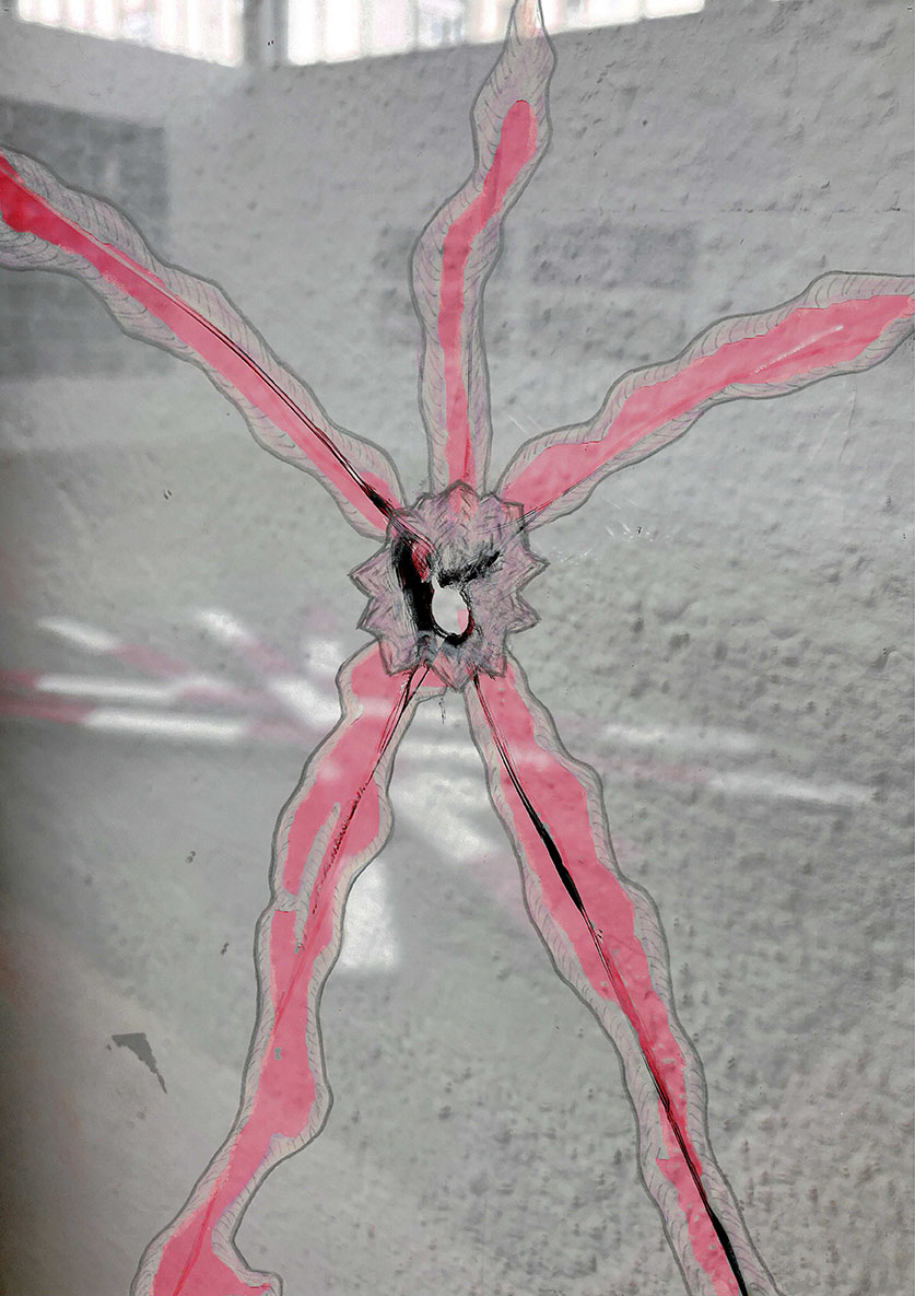 Fensterspinne_ no_11