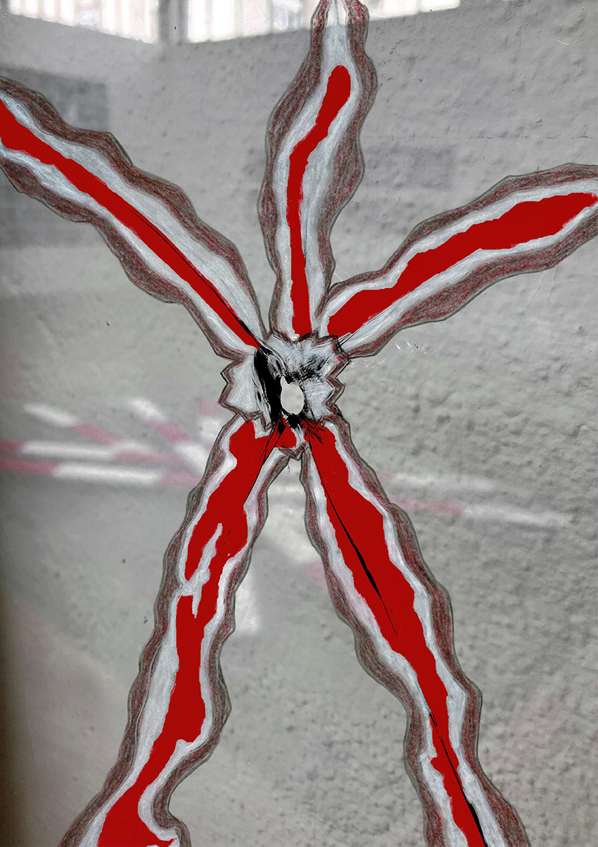 Fensterspinnen_no_20